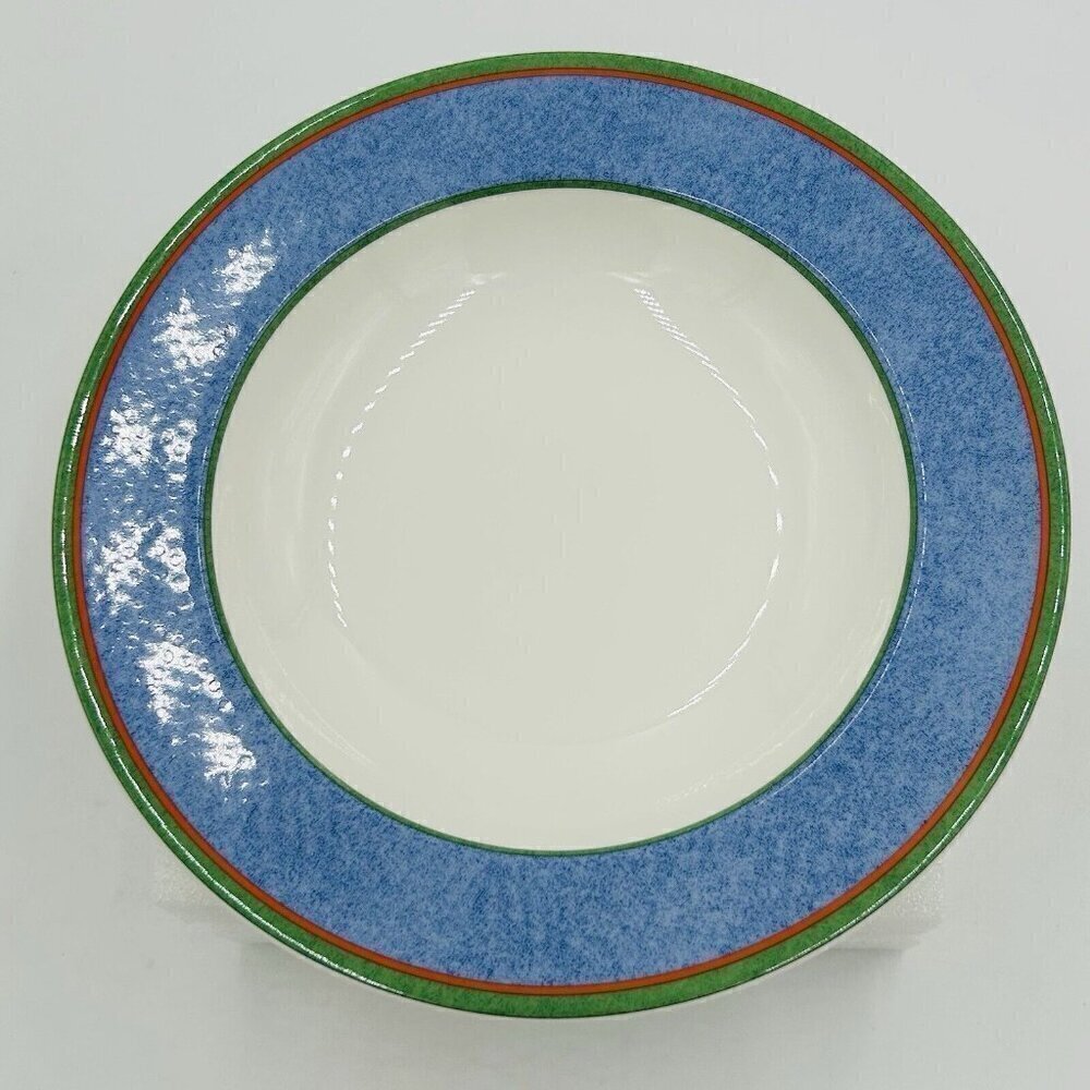 Villeroy & Boch TIPO VIVA Soup Pasta Salad Bowls Blue Wide Rim 9”